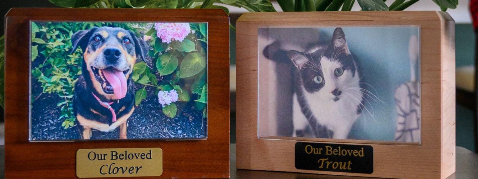 pet memorial